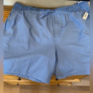 Old Navy Blue Striped Men's Swim Trunks